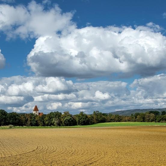 Landesförderung
