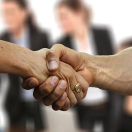 Partner und Organisator