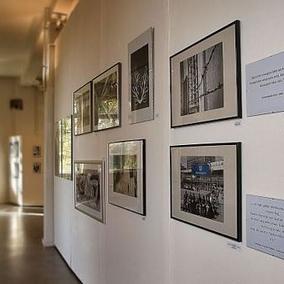 Ausstellungsflächen